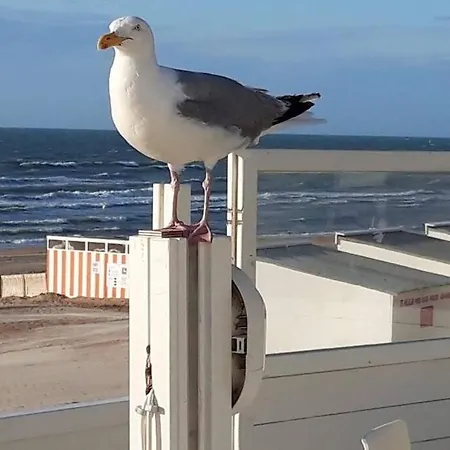 Zeezonzand Dom wakacyjny *