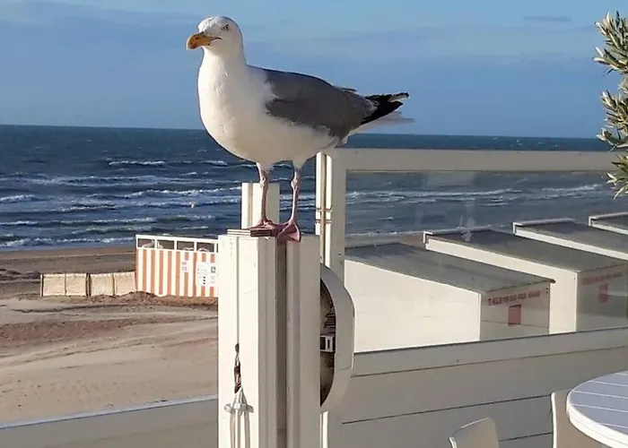 Zeezonzand Dom wakacyjny *